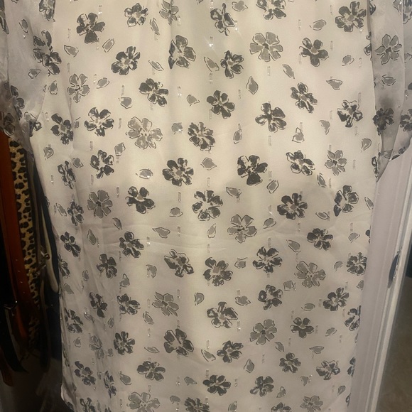 Talbots Sheer Blouse Size 4-6 🛍Lined…Worn Once.. - Picture 3 of 8
